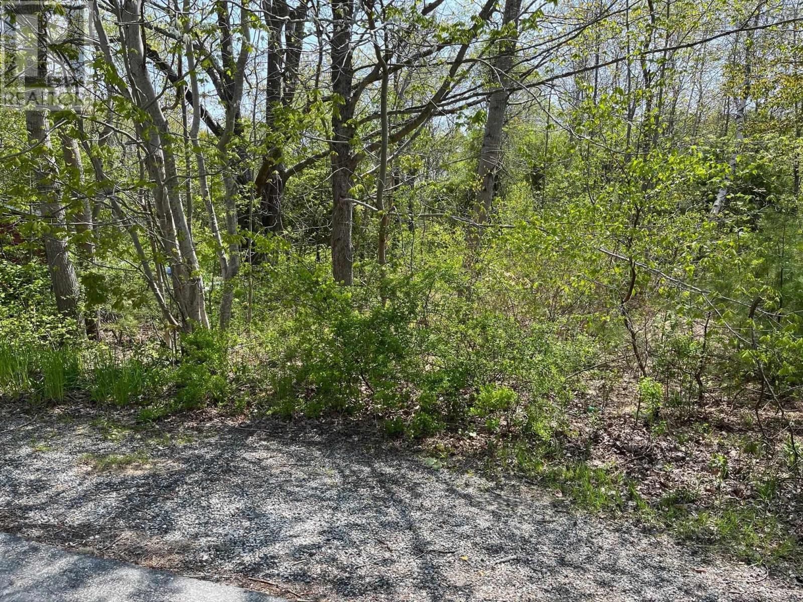 31 Franks Lane, Bridgewater, Nova Scotia  B4V 2R8 - Photo 3 - 202527618