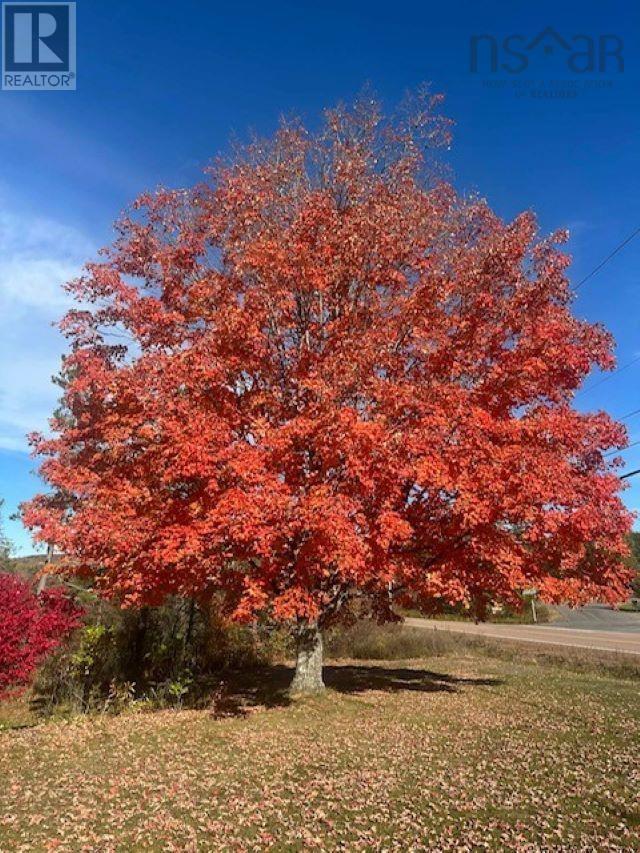 1817 Highway 311, Central North River, Nova Scotia  B6L 6G2 - Photo 7 - 202527624