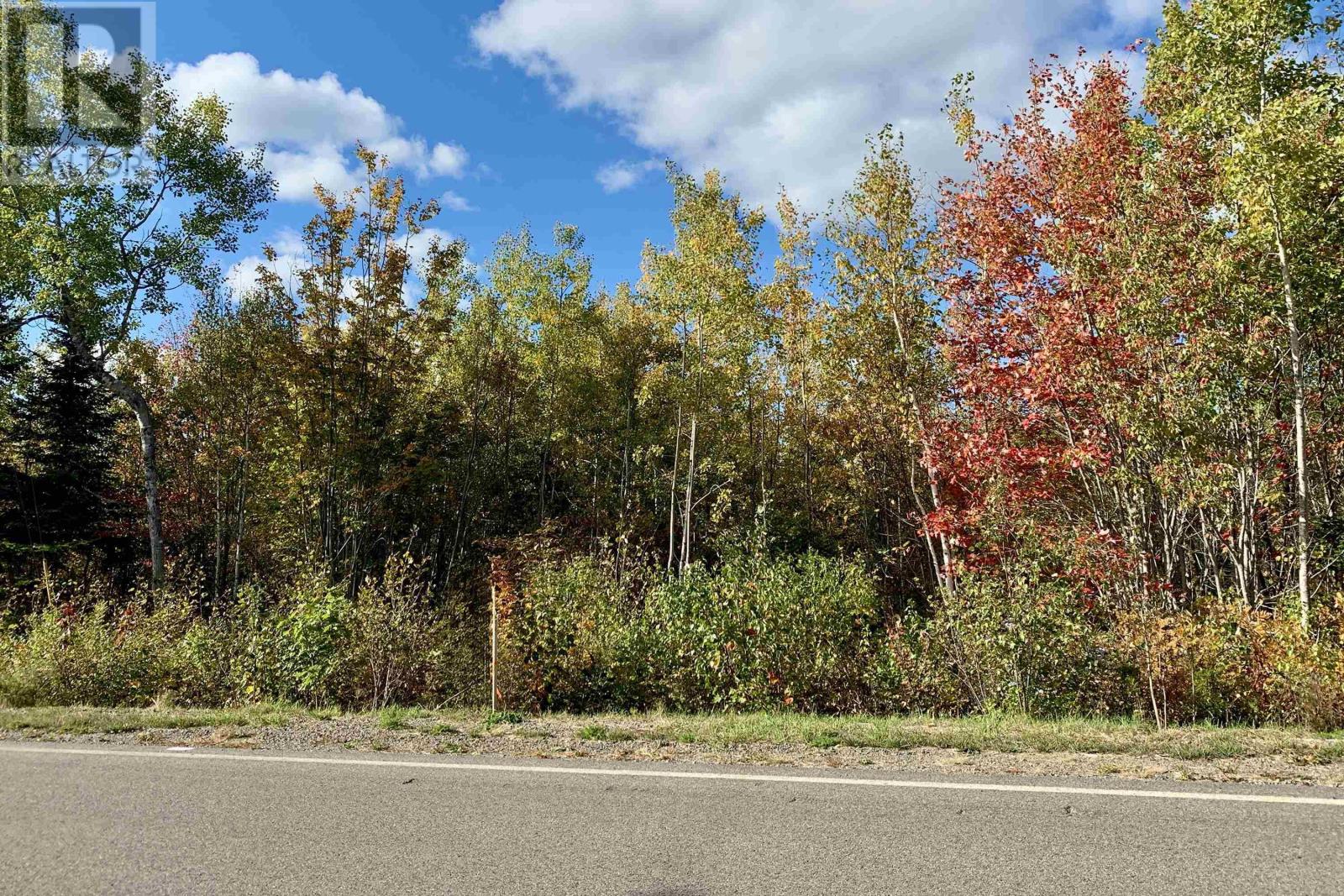 Highway 321, Roslin, Nova Scotia  B0K 1K0 - Photo 12 - 202527622