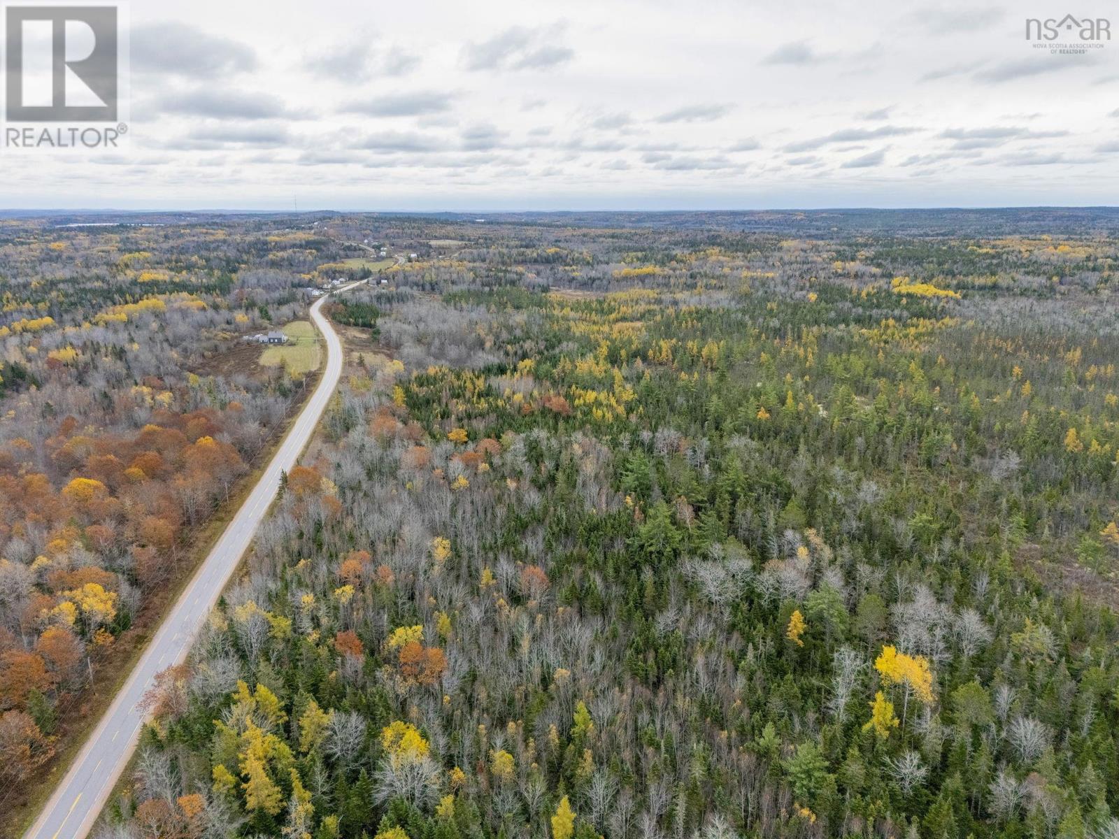 1763 10 Highway, Springfield, Nova Scotia  B0R 1H0 - Photo 9 - 202527672