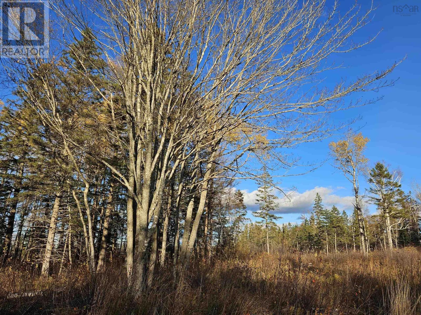 1371 Mines Road, Fenwick, Nova Scotia  B0L 1C0 - Photo 11 - 202527684