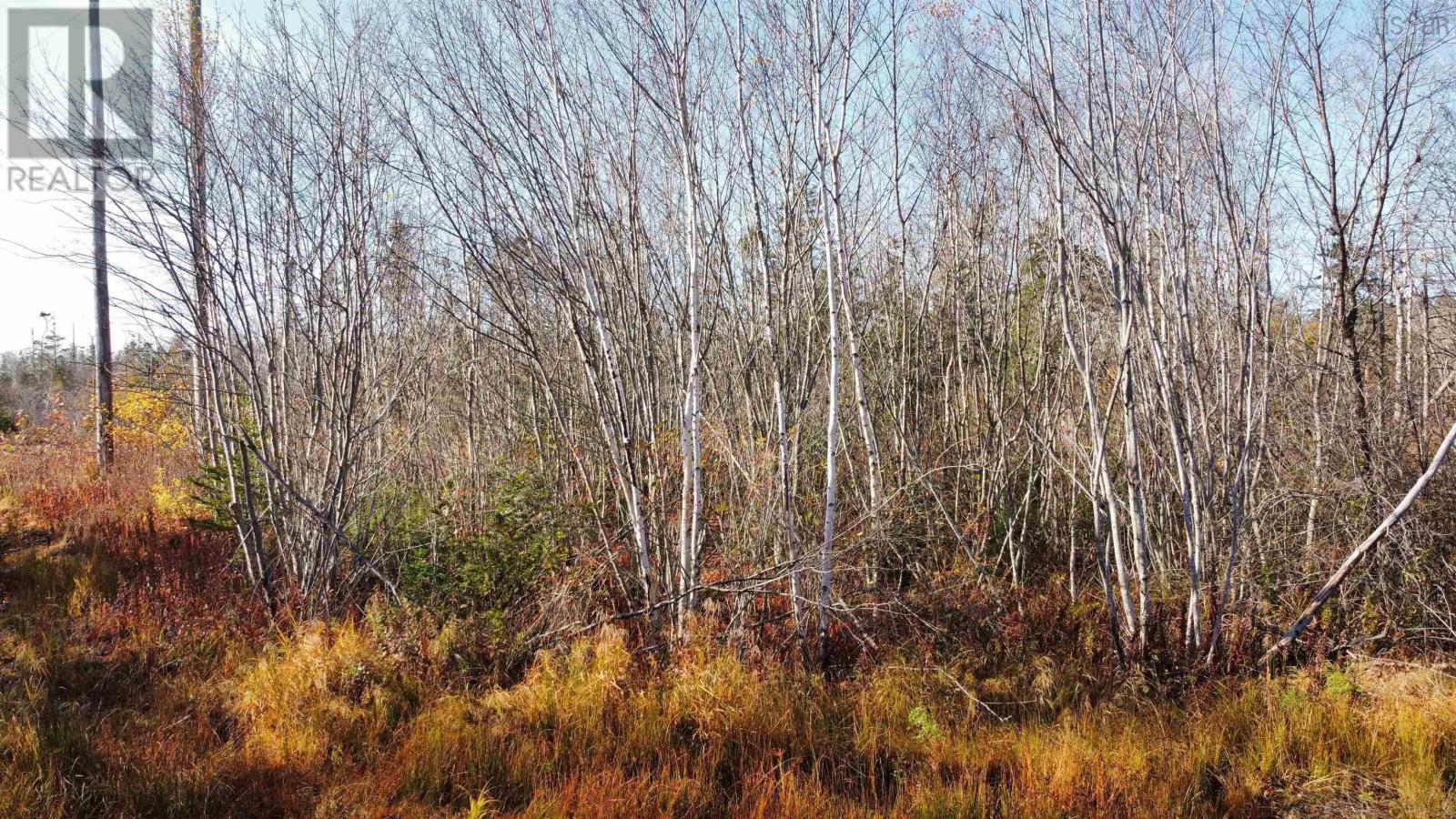 Lot No 3 Highway, Lydgate, Nova Scotia  B0T 1L0 - Photo 5 - 202527717