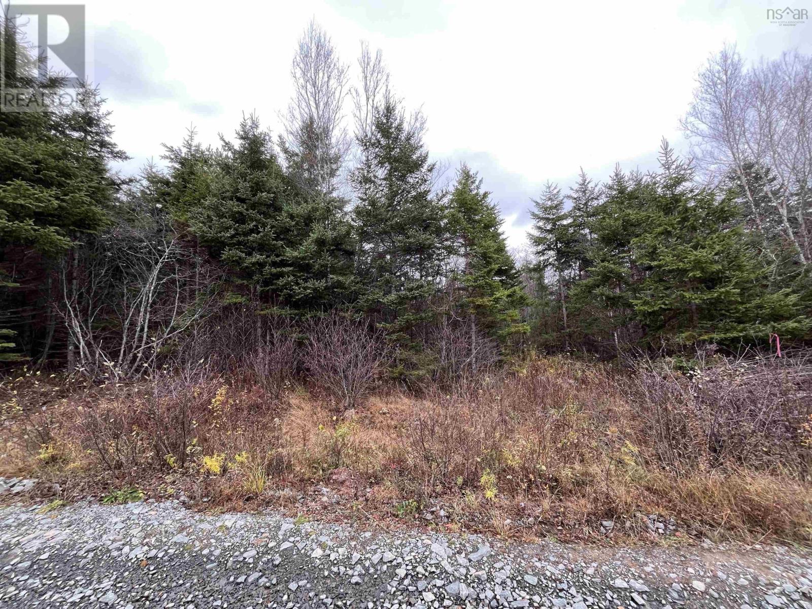 Lot 2b Dandylion Lane, Elmsvale, Nova Scotia  B0N 1X0 - Photo 3 - 202527730