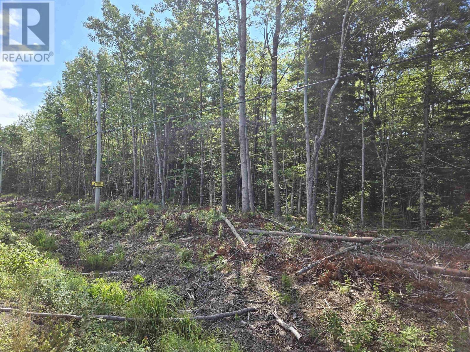 Lot 1 Conquerall Road, Conquerall Bank, Nova Scotia  B4V 0J6 - Photo 2 - 202527825