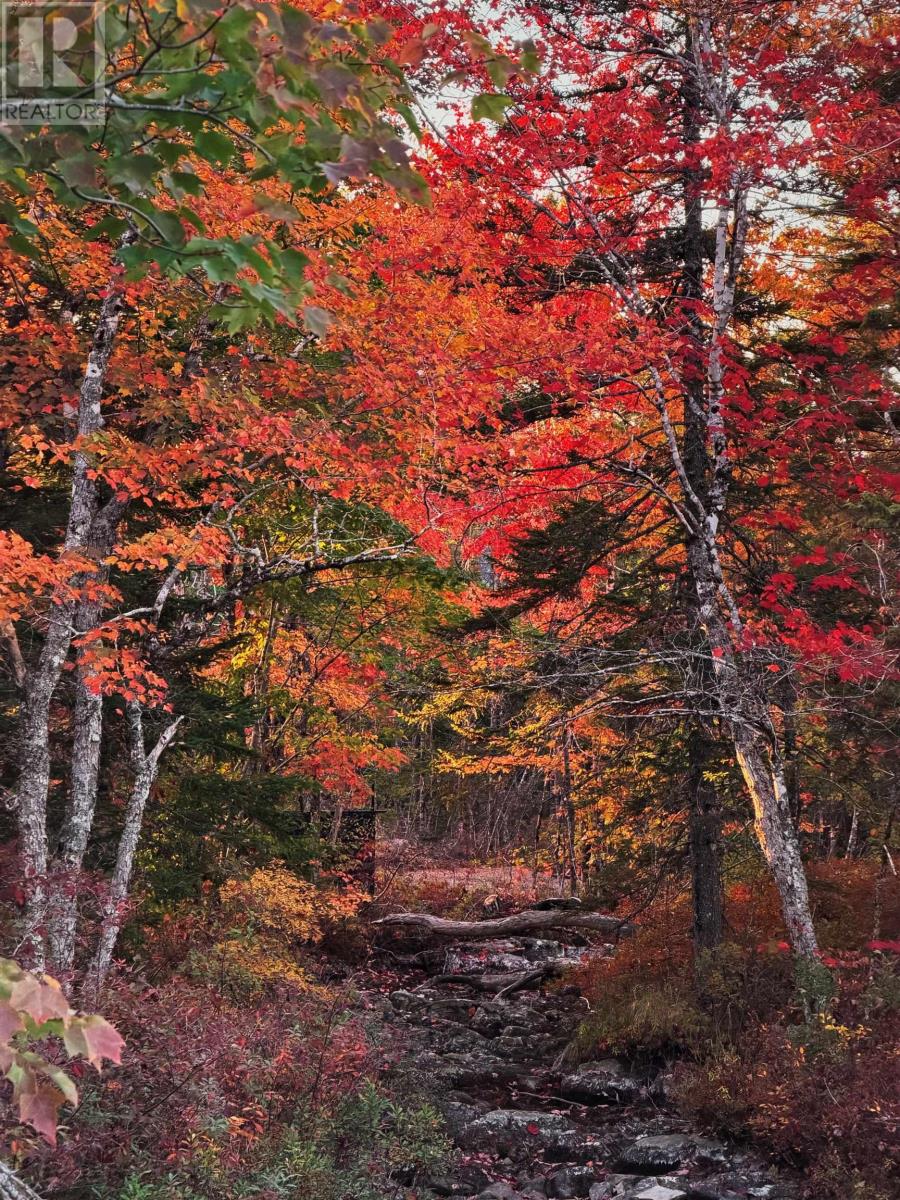 273 Meek Arm Trail, Mount Uniacke, Nova Scotia  B0N 1Z0 - Photo 42 - 202527977