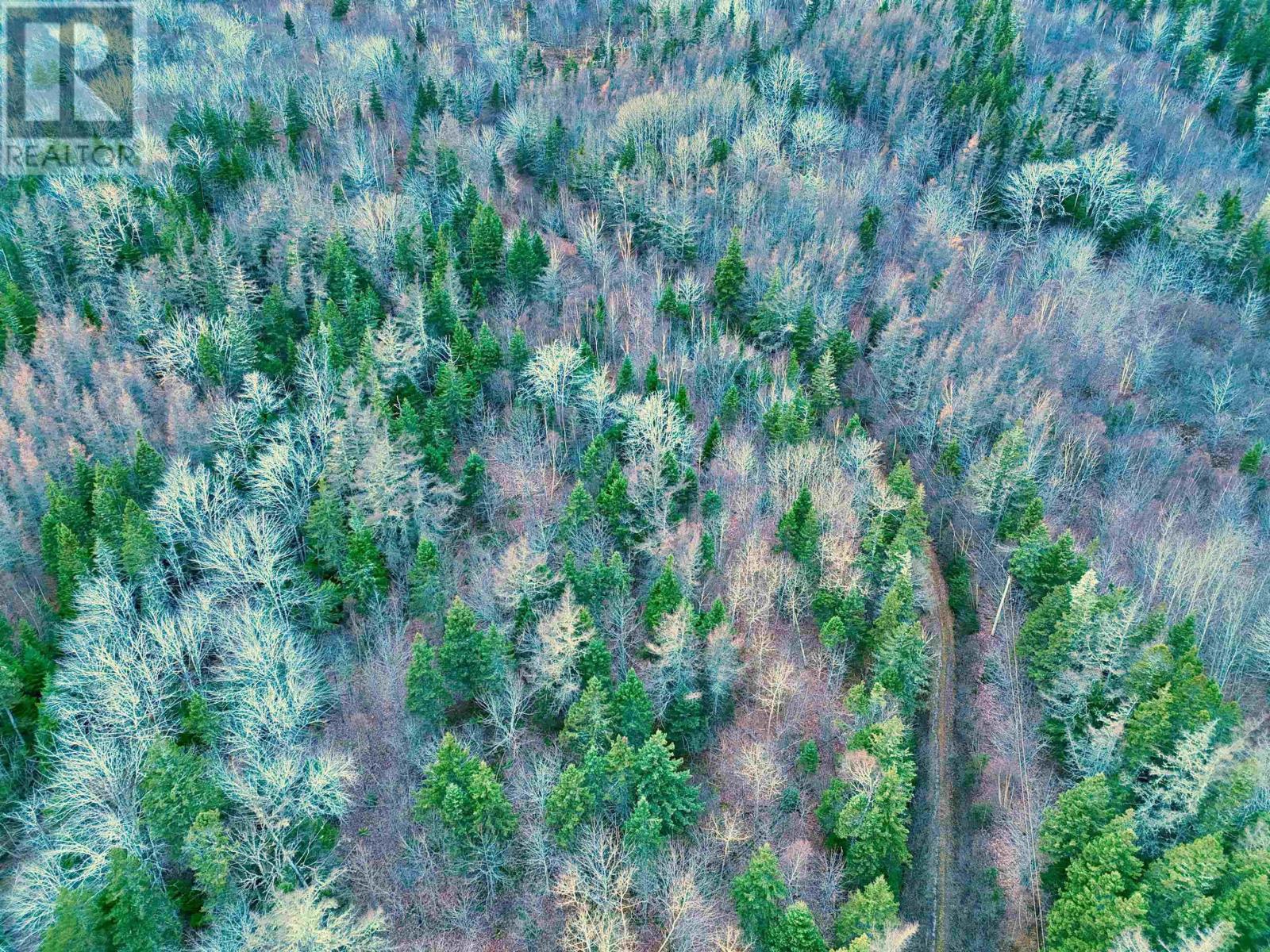 Maceachern Road, Judique North, Nova Scotia  B0E 1P0 - Photo 6 - 202527987