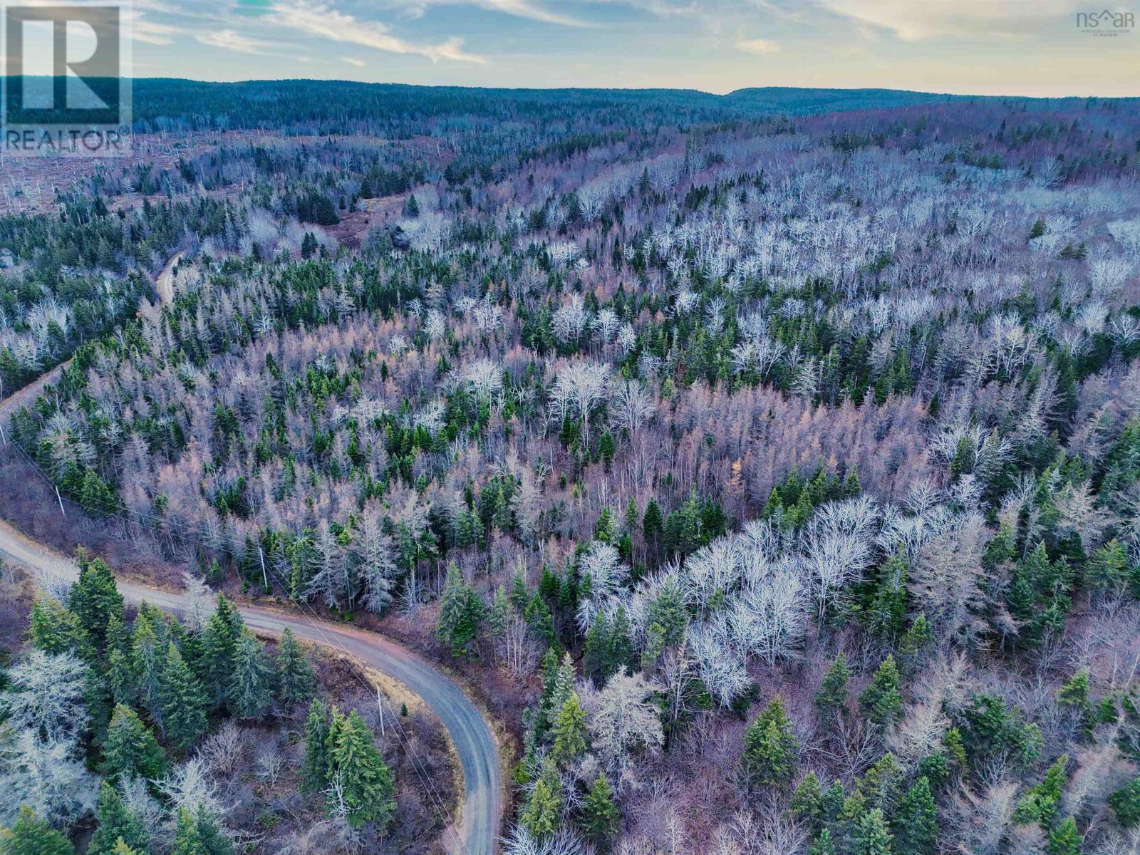 Maceachern Road, Judique North, Nova Scotia  B0E 1P0 - Photo 5 - 202527989