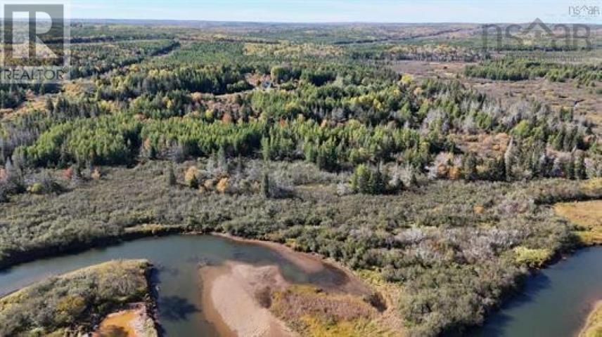 22 Acres Dowling Road, Cleveland, Nova Scotia  B0E 3L0 - Photo 10 - 202528030