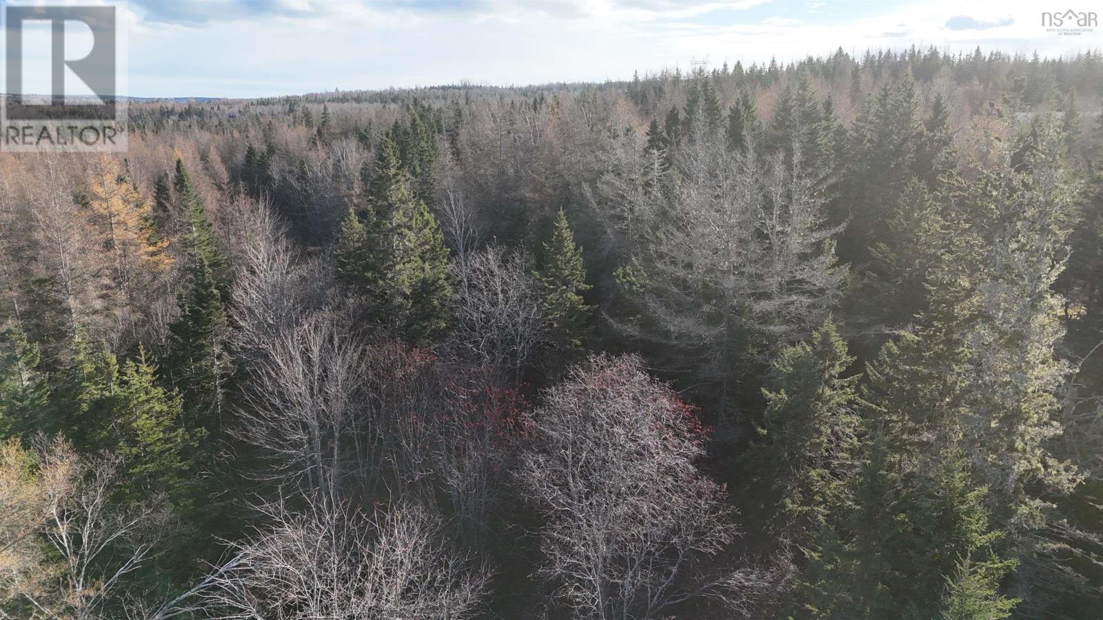 22 Acres Dowling Road, Cleveland, Nova Scotia  B0E 3L0 - Photo 12 - 202528030