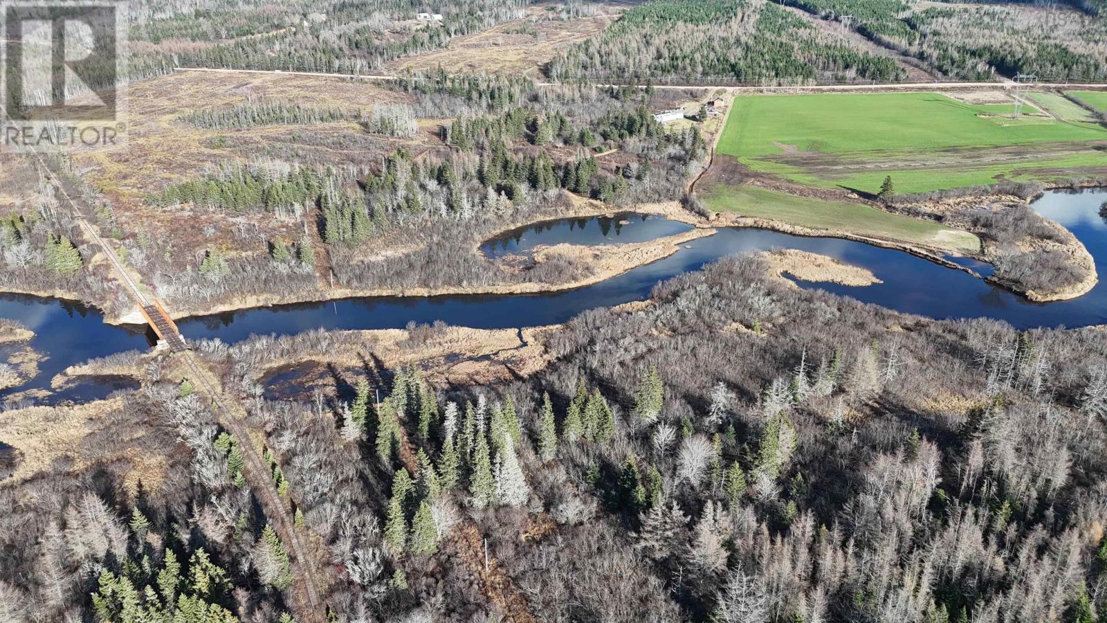 22 Acres Dowling Road, Cleveland, Nova Scotia  B0E 3L0 - Photo 19 - 202528030