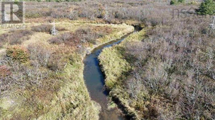 22 Acres Dowling Road, Cleveland, Nova Scotia  B0E 3L0 - Photo 5 - 202528030