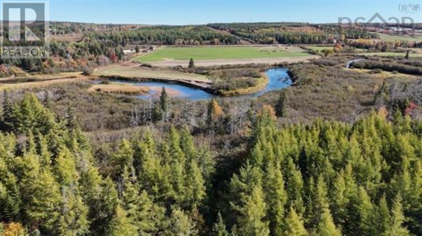 22 Acres Dowling Road, Cleveland, Nova Scotia  B0E 3L0 - Photo 7 - 202528030