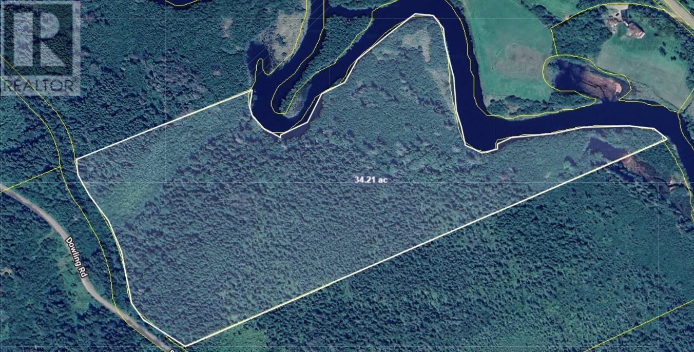 33 Acres Dowling Road, Cleveland, Nova Scotia  B0E 3L0 - Photo 13 - 202528048