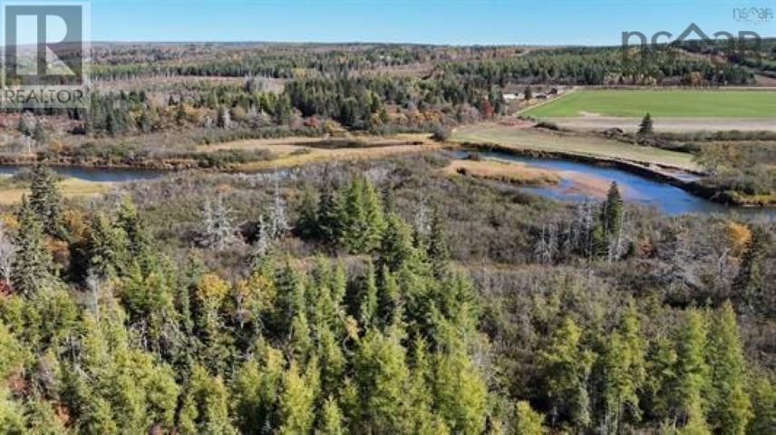 33 Acres Dowling Road, Cleveland, Nova Scotia  B0E 3L0 - Photo 9 - 202528048