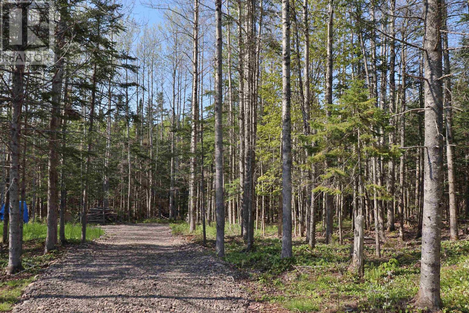 Lot Forest Glade Road, Forest Glade, Nova Scotia  B0S 1N0 - Photo 3 - 202528054