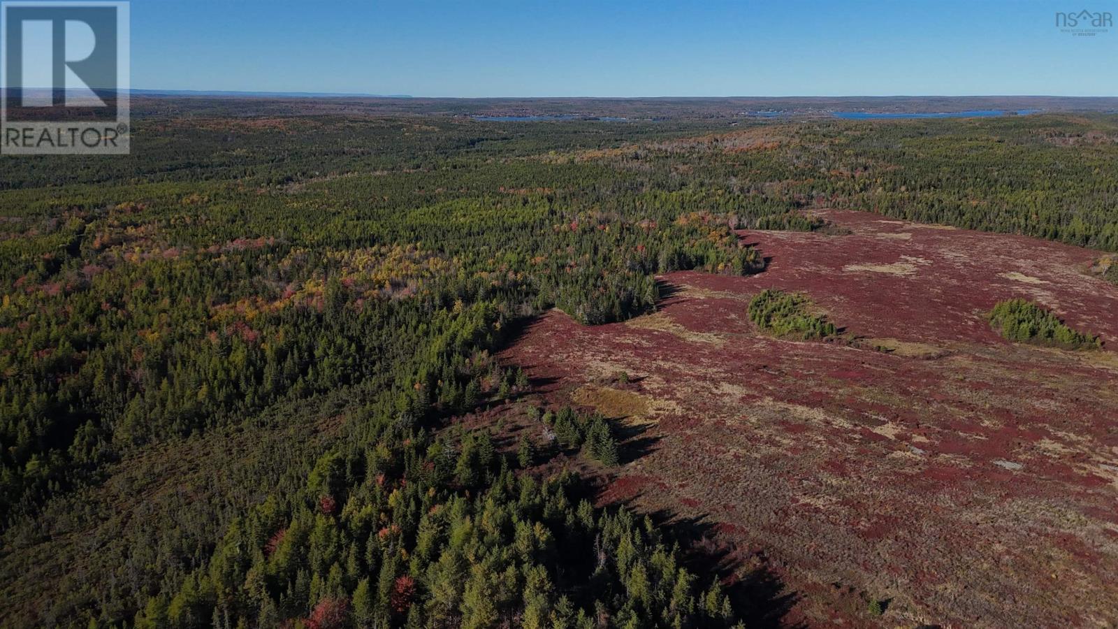 Bengal-Oceanview Road, Albert Bridge, Nova Scotia  B1K 2J5 - Photo 10 - 202528055