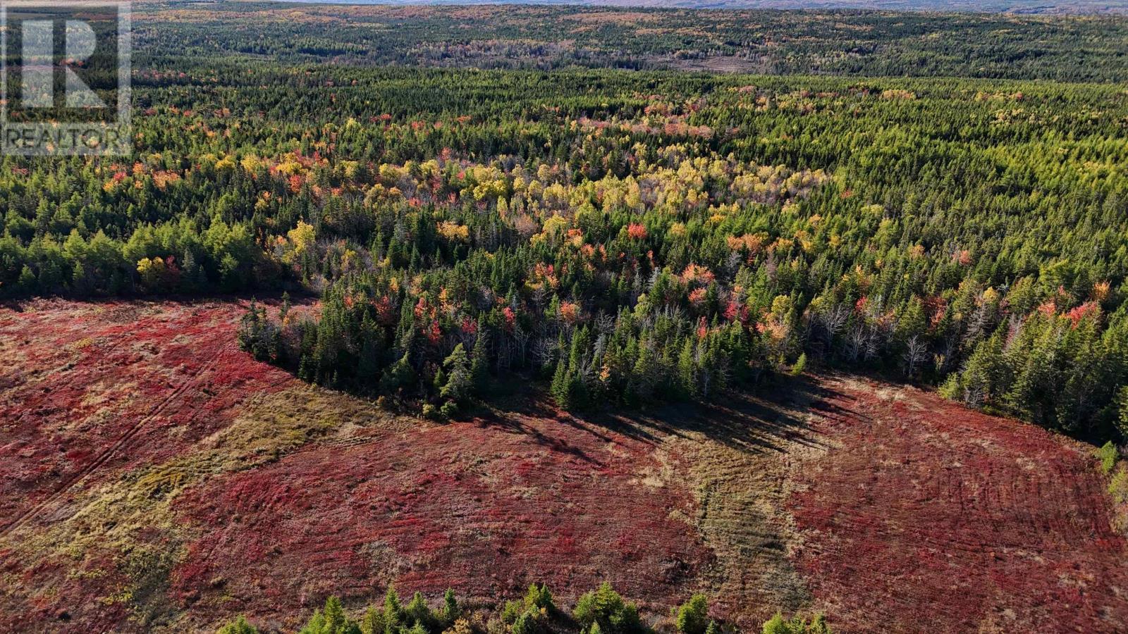 Bengal-Oceanview Road, Albert Bridge, Nova Scotia  B1K 2J5 - Photo 14 - 202528055