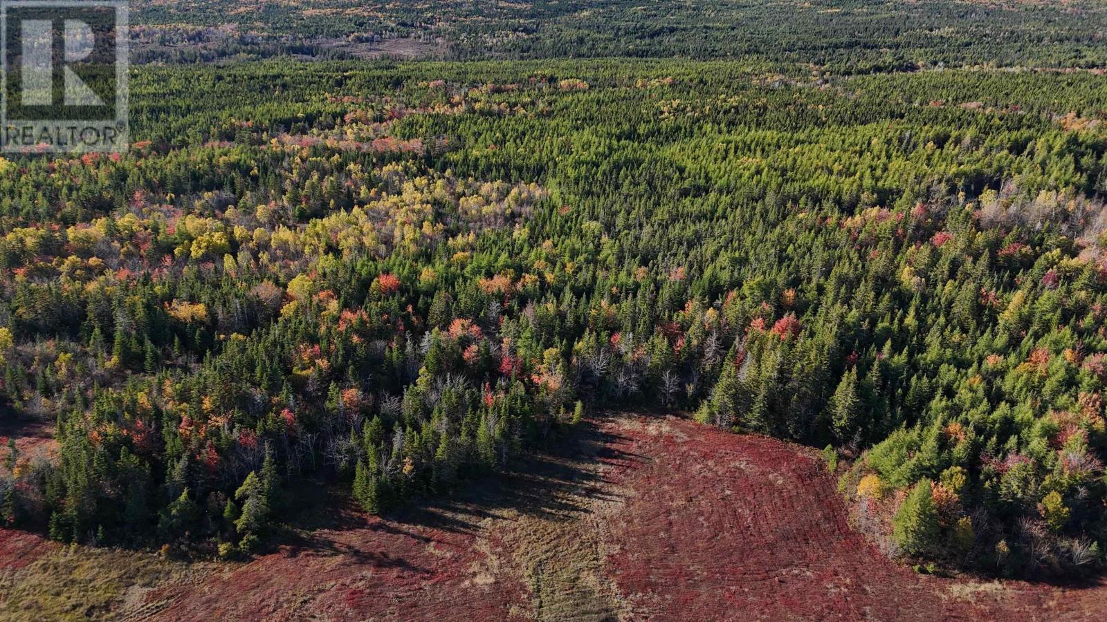 Bengal-Oceanview Road, Albert Bridge, Nova Scotia  B1K 2J5 - Photo 15 - 202528055
