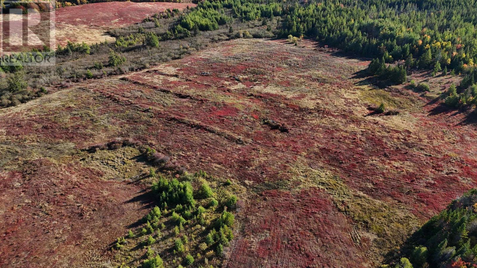 Bengal-Oceanview Road, Albert Bridge, Nova Scotia  B1K 2J5 - Photo 17 - 202528055