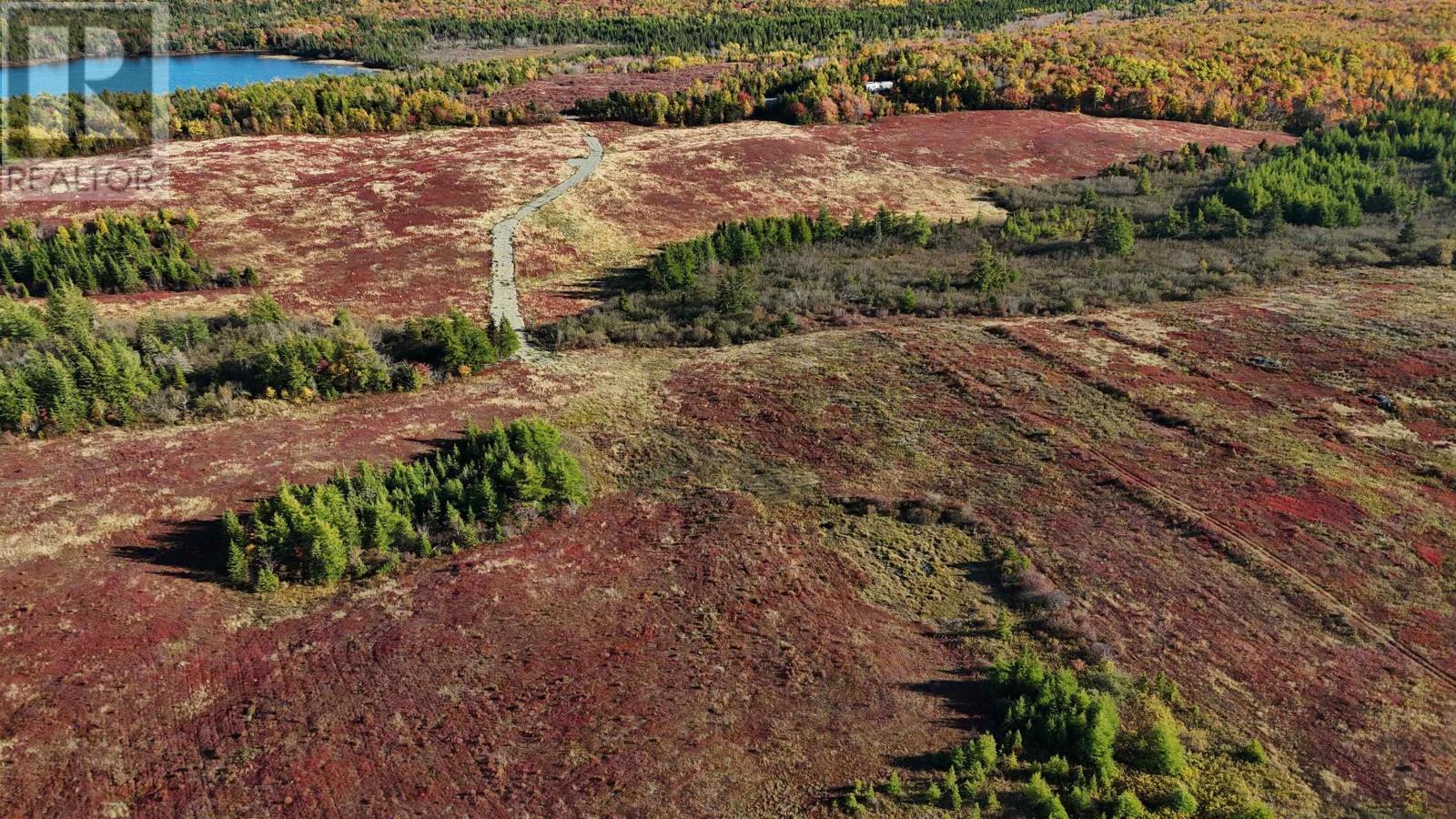Bengal-Oceanview Road, Albert Bridge, Nova Scotia  B1K 2J5 - Photo 2 - 202528055