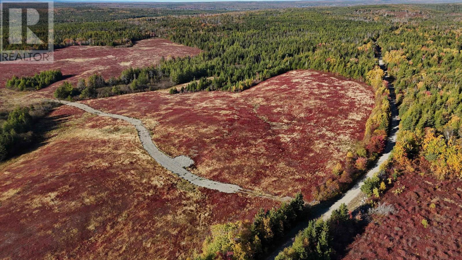 Bengal-Oceanview Road, Albert Bridge, Nova Scotia  B1K 2J5 - Photo 3 - 202528055