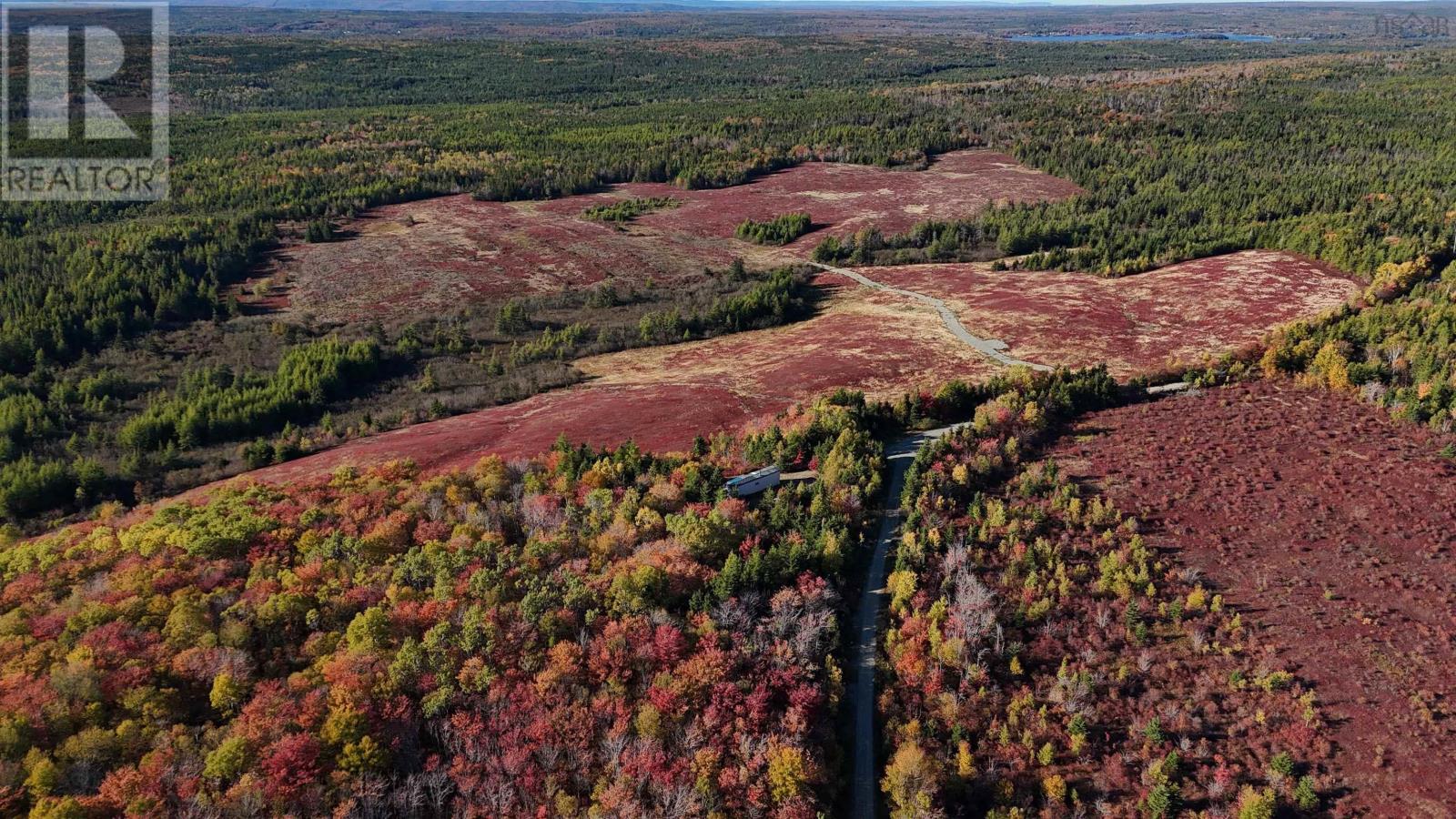 Bengal-Oceanview Road, Albert Bridge, Nova Scotia  B1K 2J5 - Photo 4 - 202528055