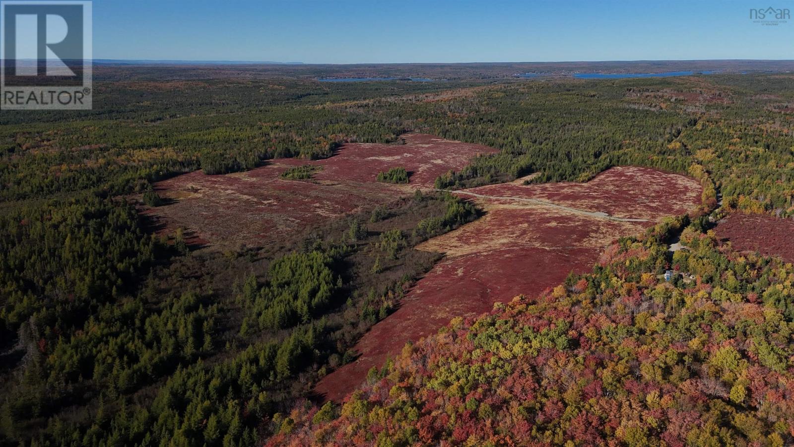 Bengal-Oceanview Road, Albert Bridge, Nova Scotia  B1K 2J5 - Photo 6 - 202528055