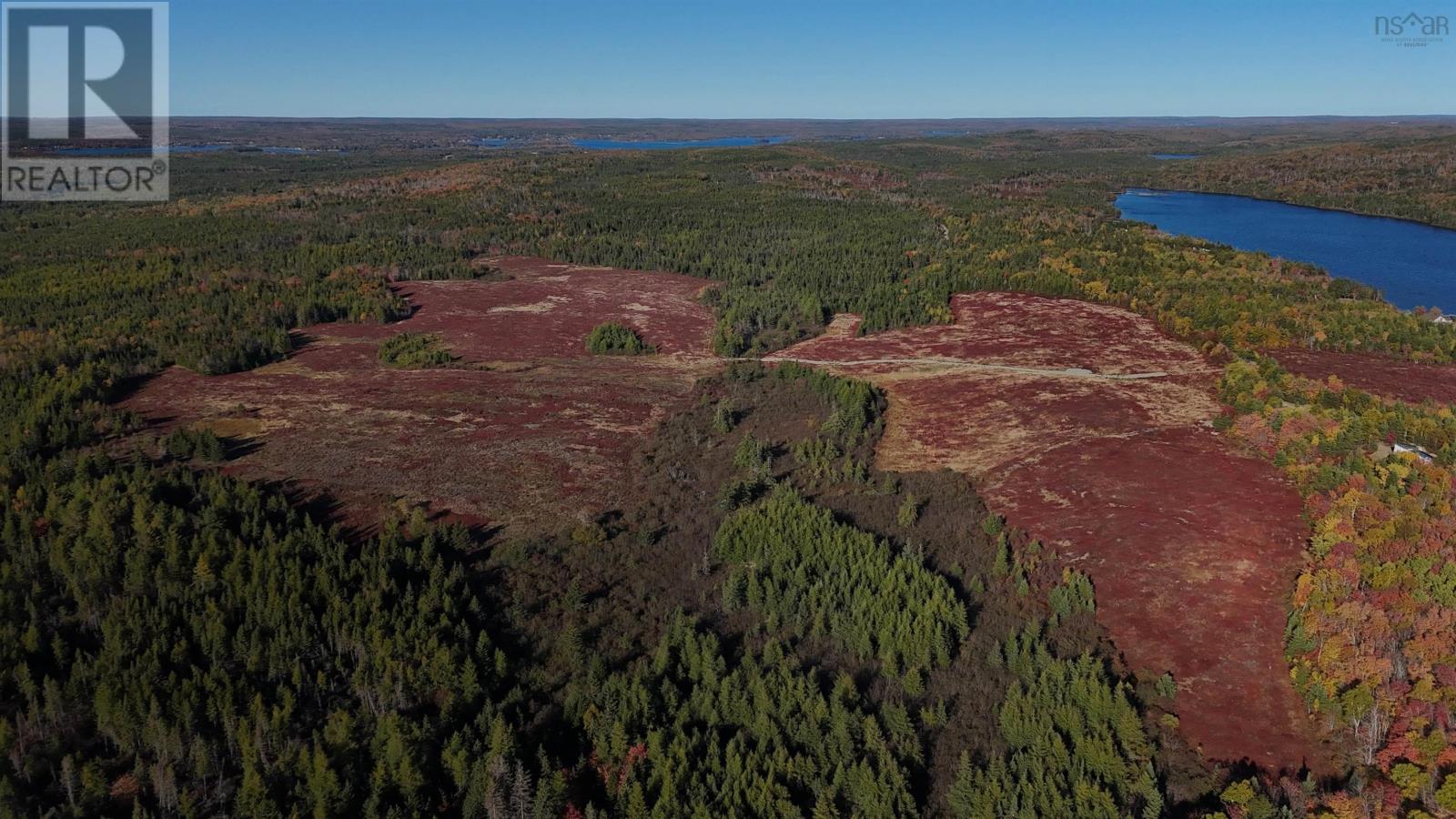 Bengal-Oceanview Road, Albert Bridge, Nova Scotia  B1K 2J5 - Photo 7 - 202528055