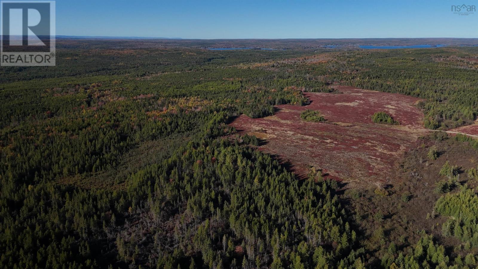 Bengal-Oceanview Road, Albert Bridge, Nova Scotia  B1K 2J5 - Photo 9 - 202528055