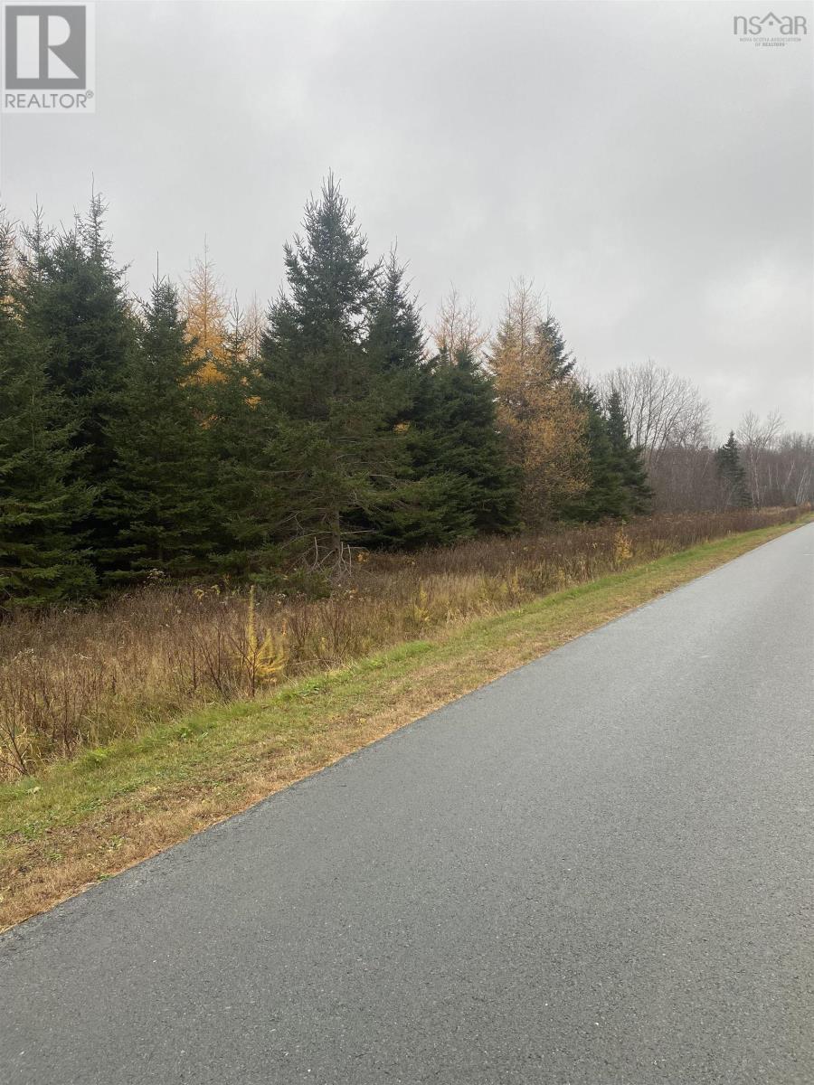 Lot 1 New Cheverie Road, Lower Burlington, Nova Scotia  B0N 1E0 - Photo 3 - 202528107