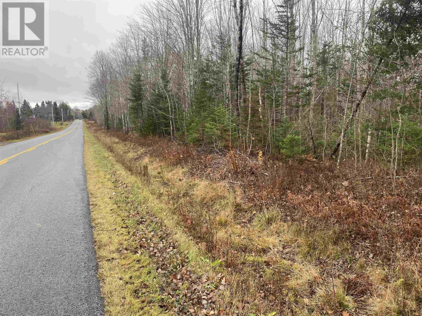 Lot 1 New Cheverie Road, Lower Burlington, Nova Scotia  B0N 1E0 - Photo 4 - 202528107
