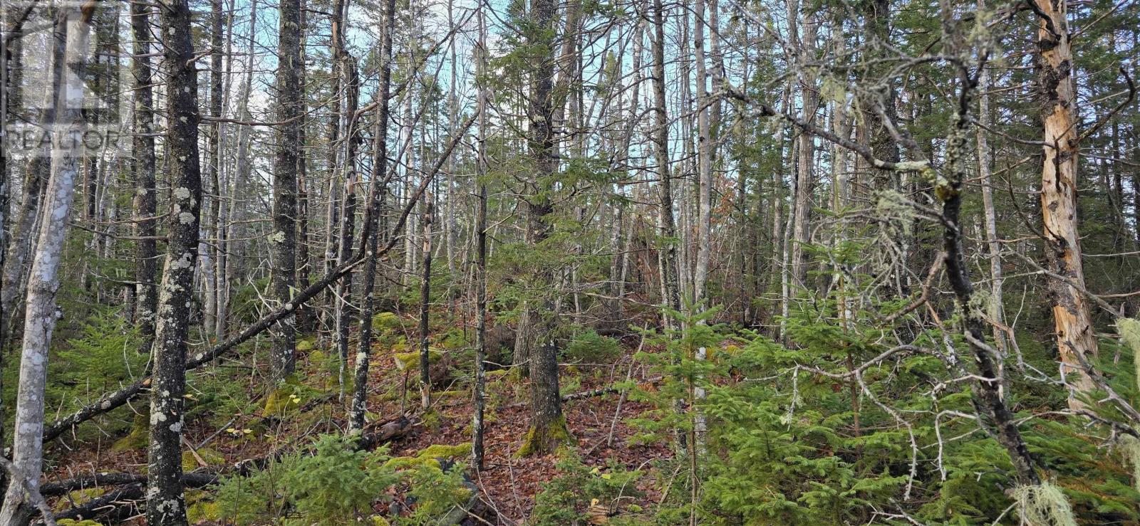 Lot 16 Eastern Shore Road, Port Medway, Nova Scotia  B0J 1H0 - Photo 11 - 202528110