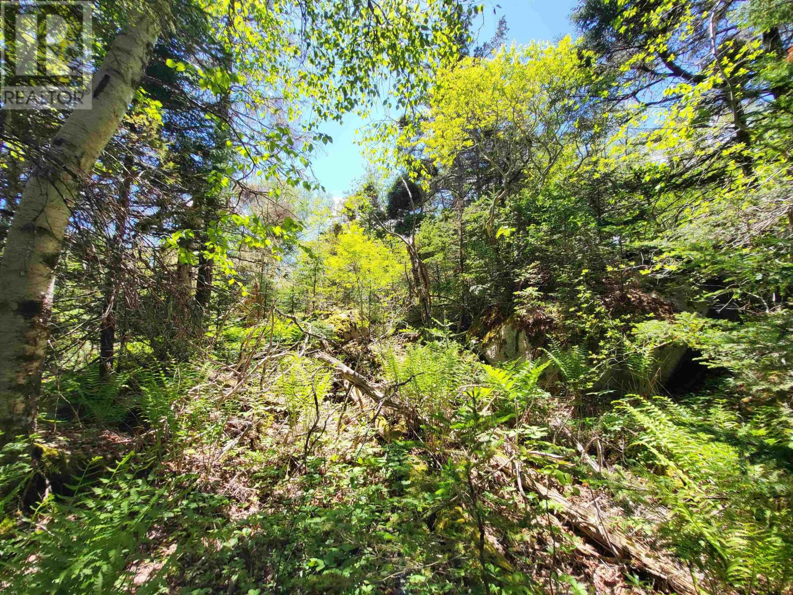 C4 & C5 Everetts Way, Hunts Point, Nova Scotia  B0T 1G0 - Photo 11 - 202528120