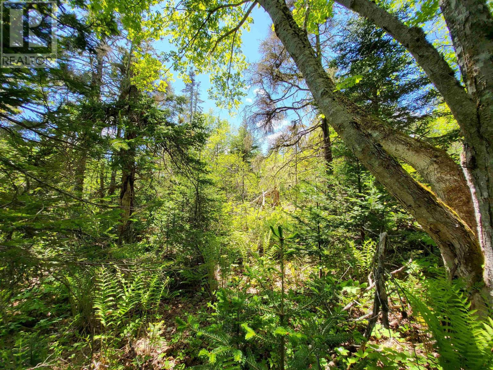 C4 & C5 Everetts Way, Hunts Point, Nova Scotia  B0T 1G0 - Photo 22 - 202528120