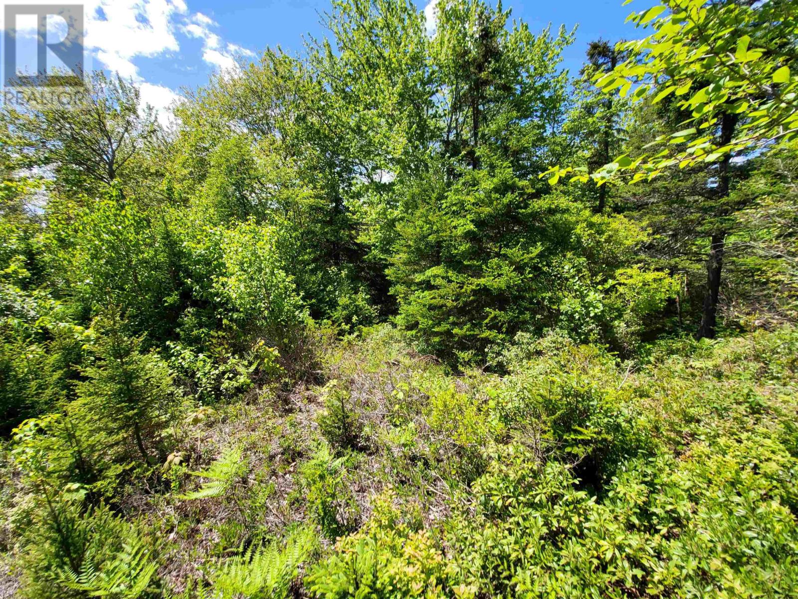 C4 & C5 Everetts Way, Hunts Point, Nova Scotia  B0T 1G0 - Photo 28 - 202528120