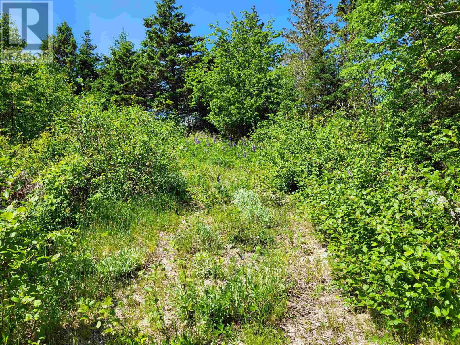 C4 & C5 Everetts Way, Hunts Point, Nova Scotia  B0T 1G0 - Photo 30 - 202528120