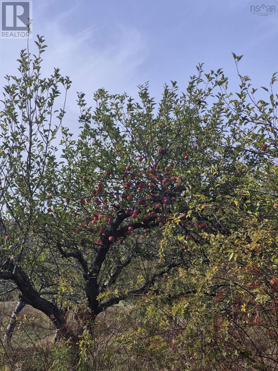 Lot 2025 Clarence Road, Central Clarence, Nova Scotia  B0S 1M0 - Photo 11 - 202528165