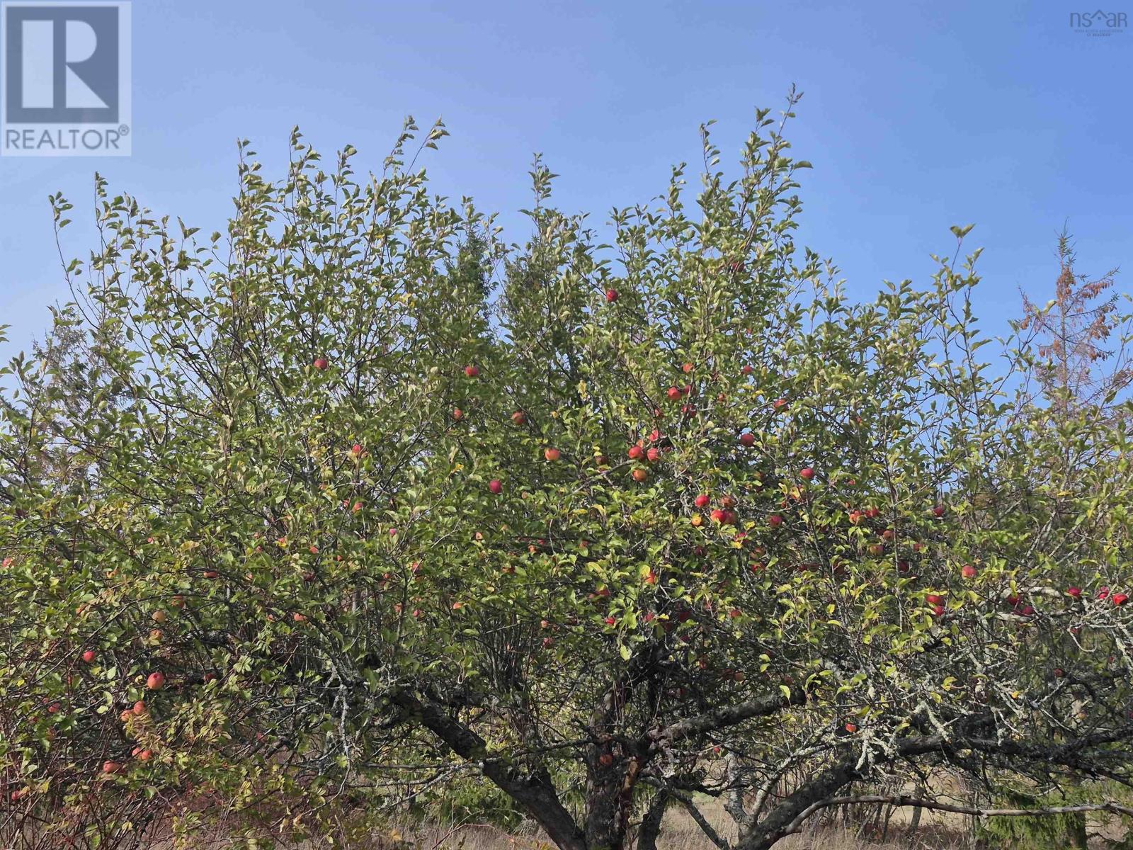 Lot 2025 Clarence Road, Central Clarence, Nova Scotia  B0S 1M0 - Photo 2 - 202528165