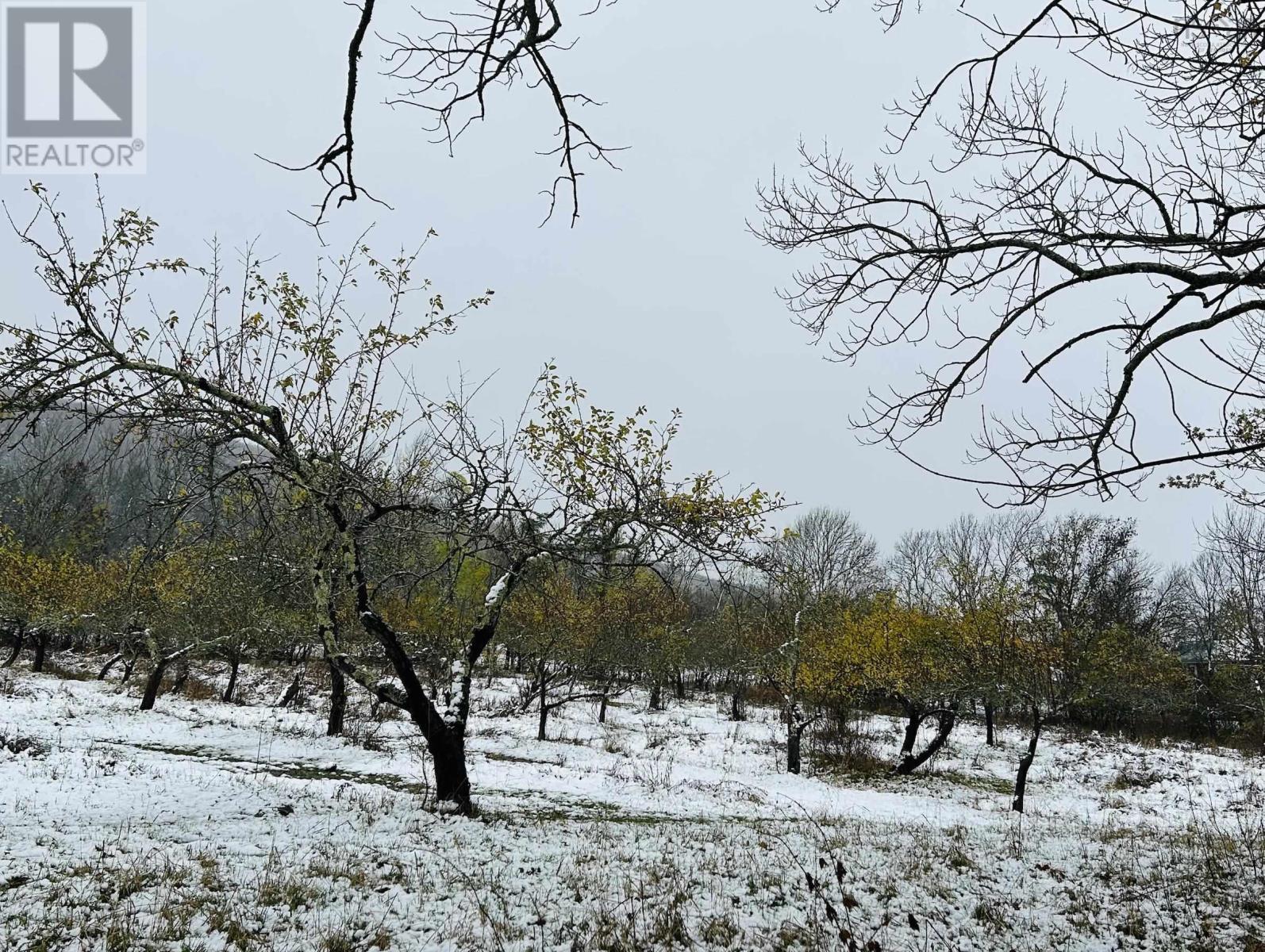 Lot 2025 Clarence Road, Central Clarence, Nova Scotia  B0S 1M0 - Photo 6 - 202528165