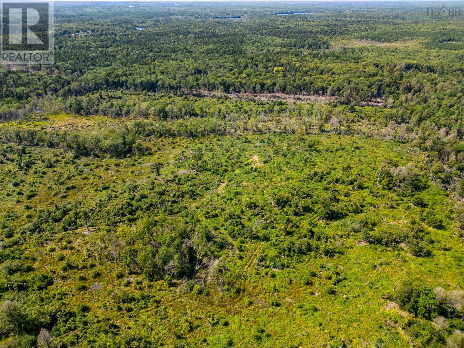 129 Riverdale Road, Riverdale, Nova Scotia  B0W 3T0 - Photo 10 - 202528177