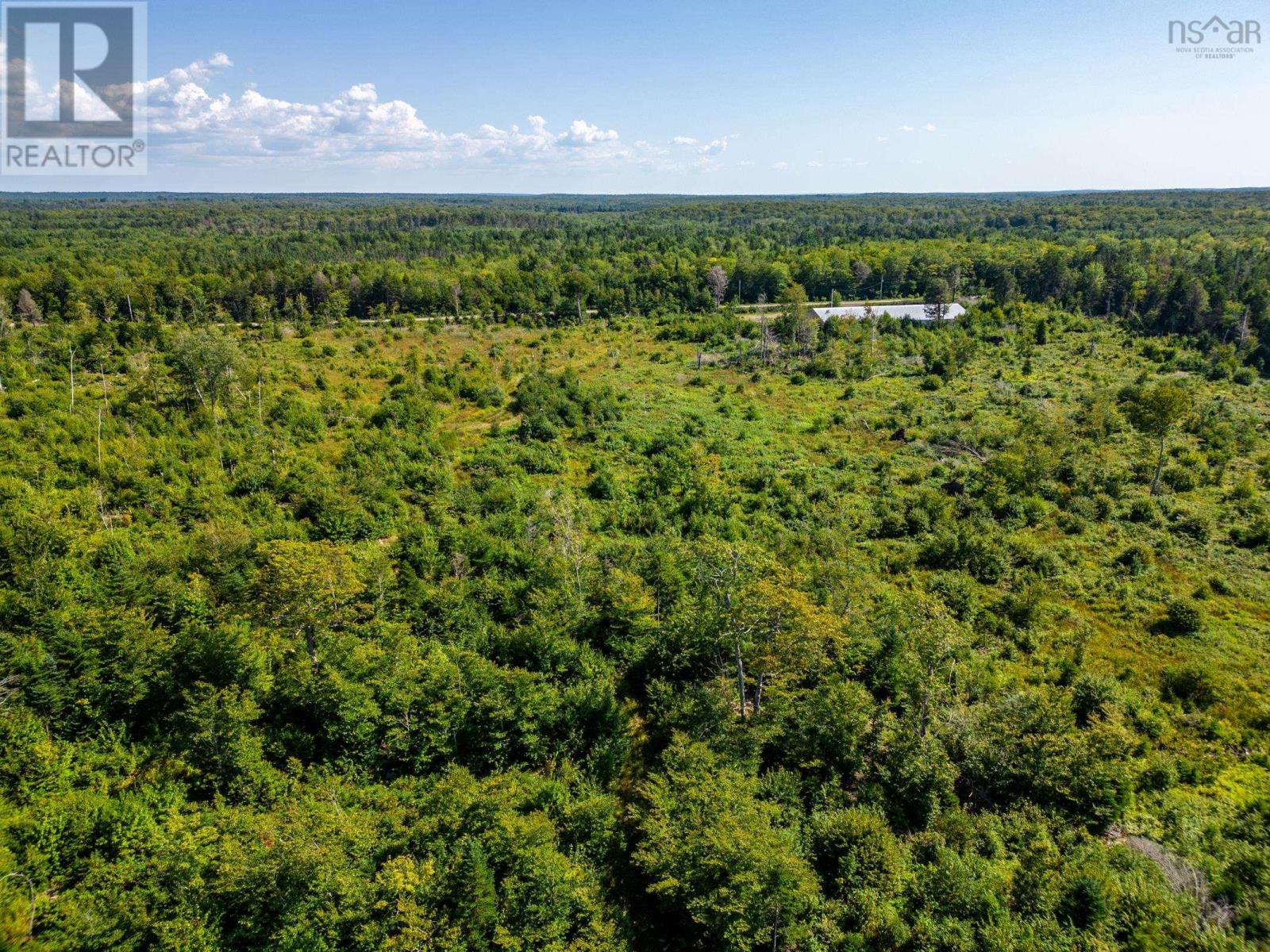 129 Riverdale Road, Riverdale, Nova Scotia  B0W 3T0 - Photo 15 - 202528177