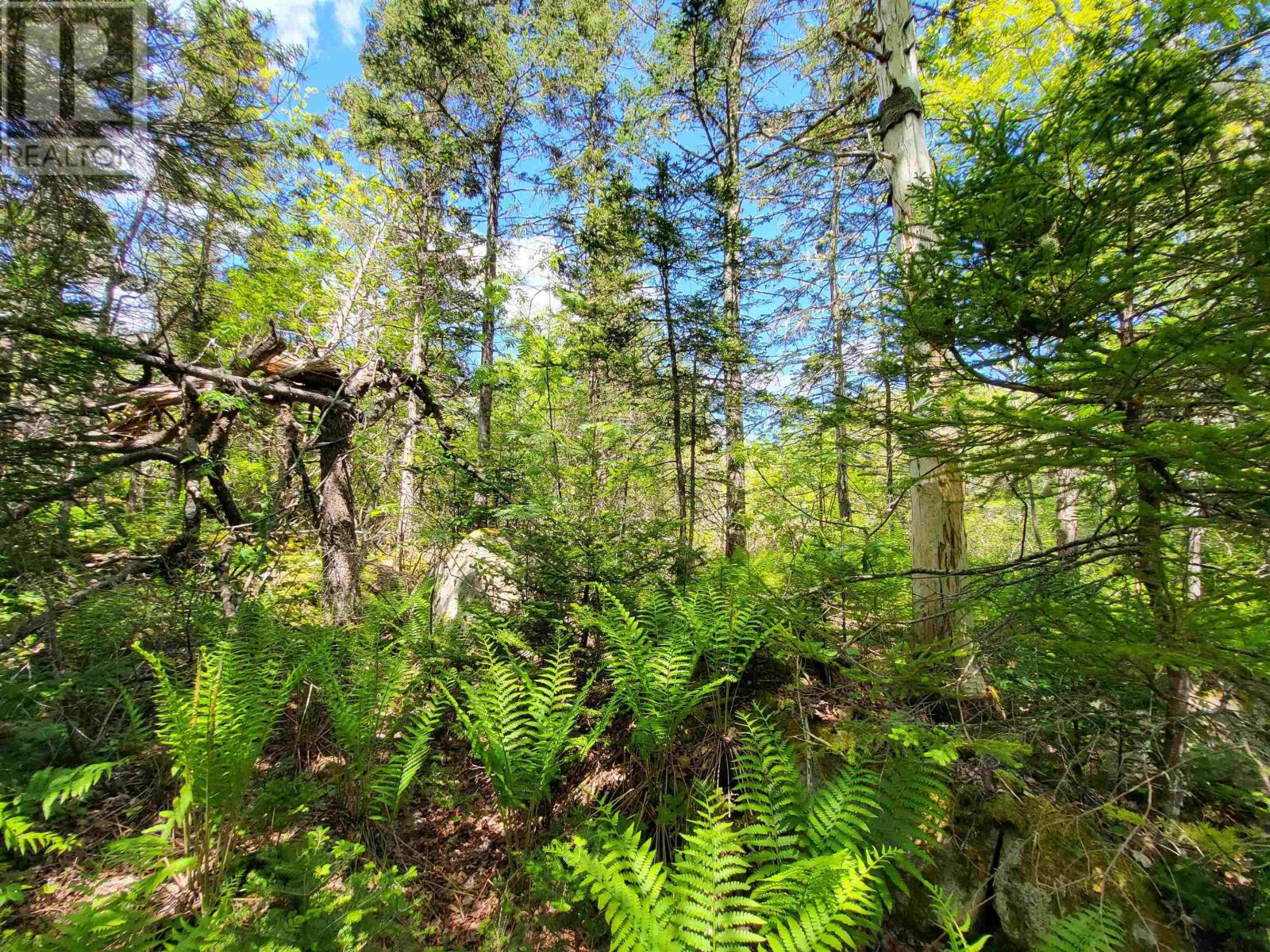 Lot C4 Everetts Way, Hunts Point, Nova Scotia  B0T 1G0 - Photo 10 - 202528233