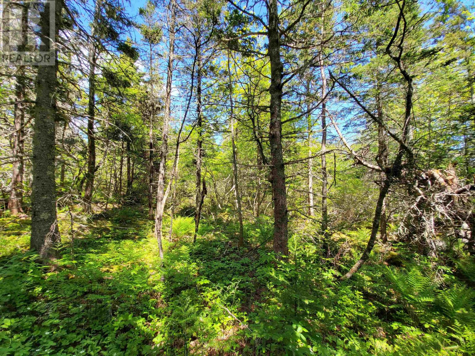 Lot C4 Everetts Way, Hunts Point, Nova Scotia  B0T 1G0 - Photo 12 - 202528233