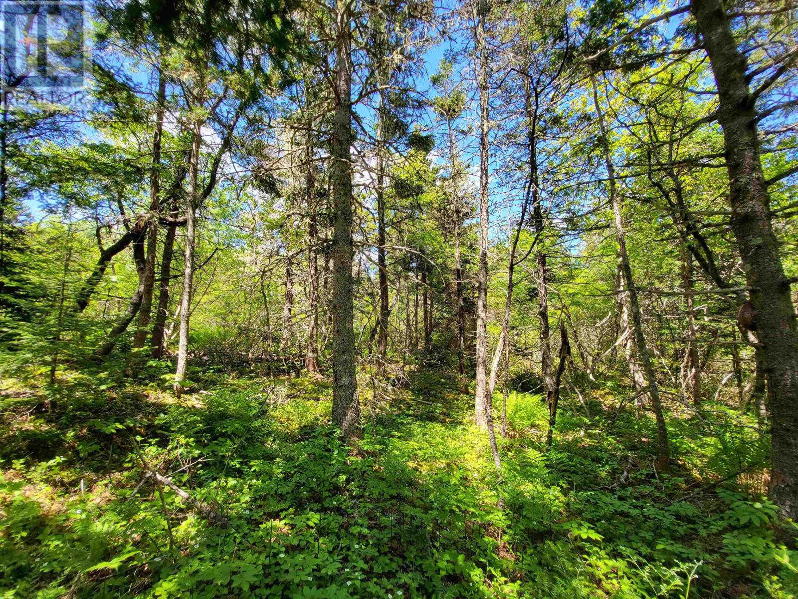 Lot C4 Everetts Way, Hunts Point, Nova Scotia  B0T 1G0 - Photo 13 - 202528233