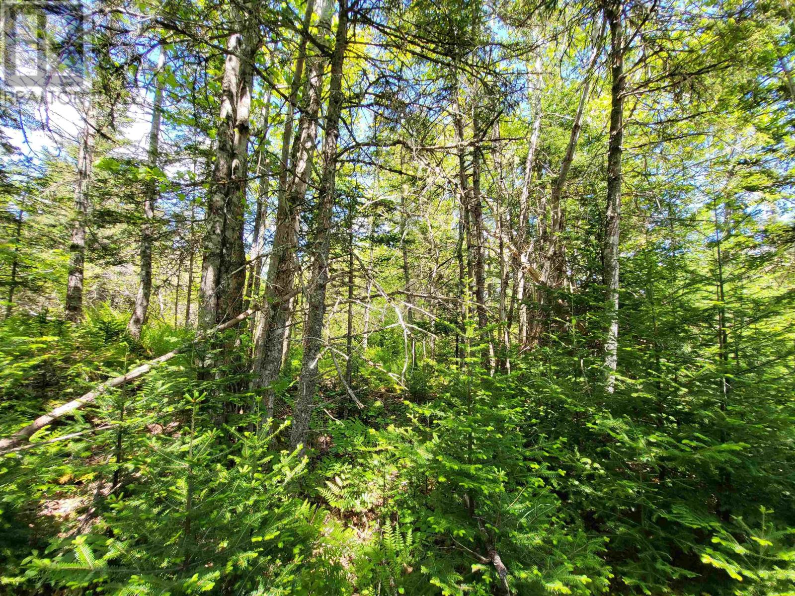 Lot C4 Everetts Way, Hunts Point, Nova Scotia  B0T 1G0 - Photo 9 - 202528233