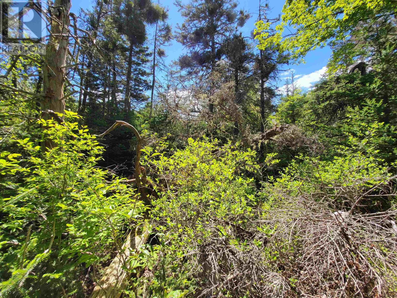 Lot C5 Everetts Way, Hunts Point, Nova Scotia  B0T 1G0 - Photo 10 - 202528234