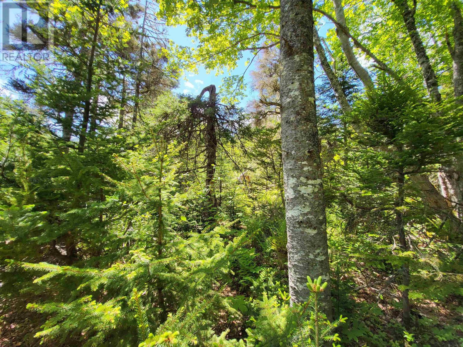 Lot C5 Everetts Way, Hunts Point, Nova Scotia  B0T 1G0 - Photo 11 - 202528234