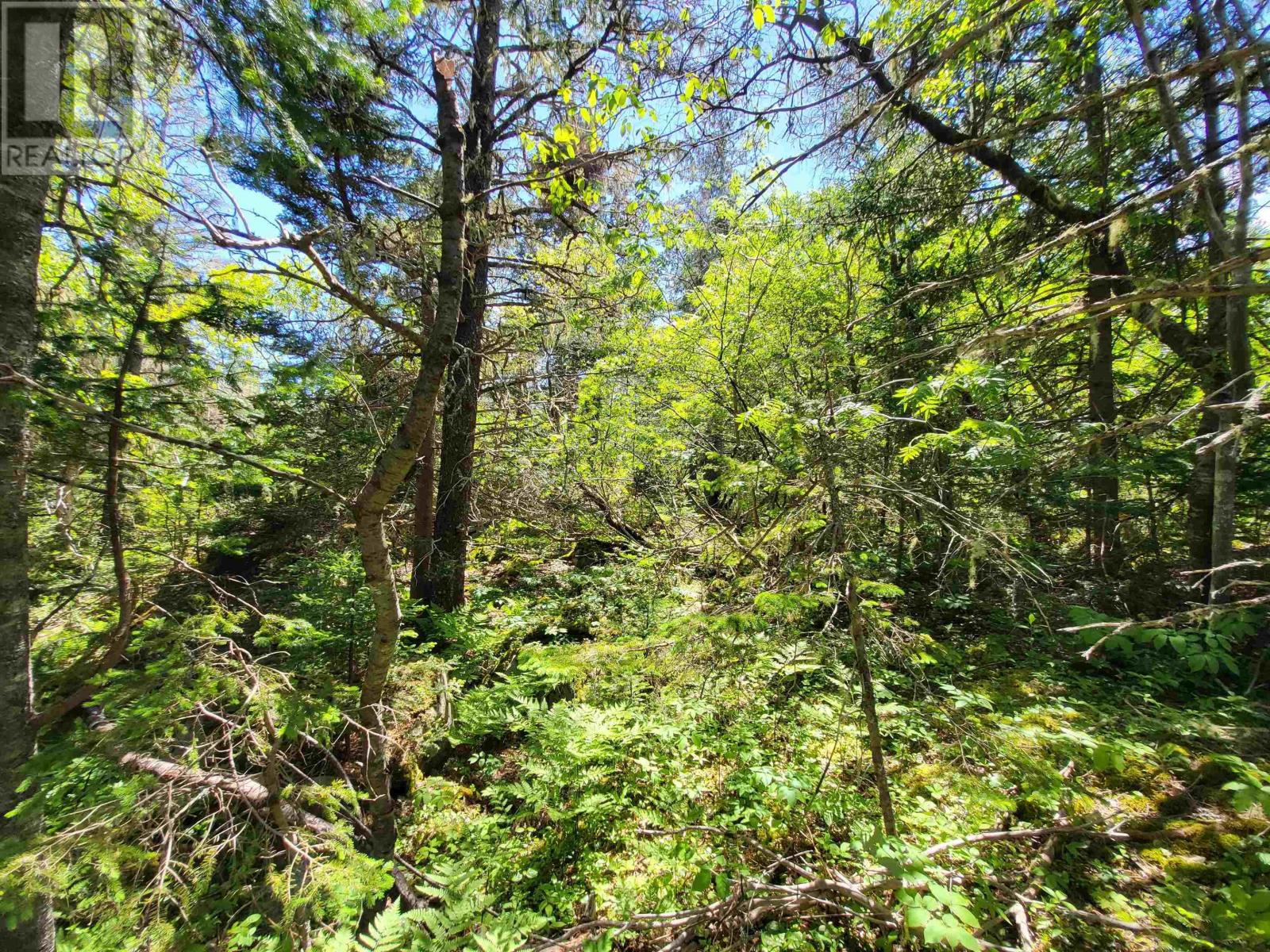 Lot C5 Everetts Way, Hunts Point, Nova Scotia  B0T 1G0 - Photo 13 - 202528234