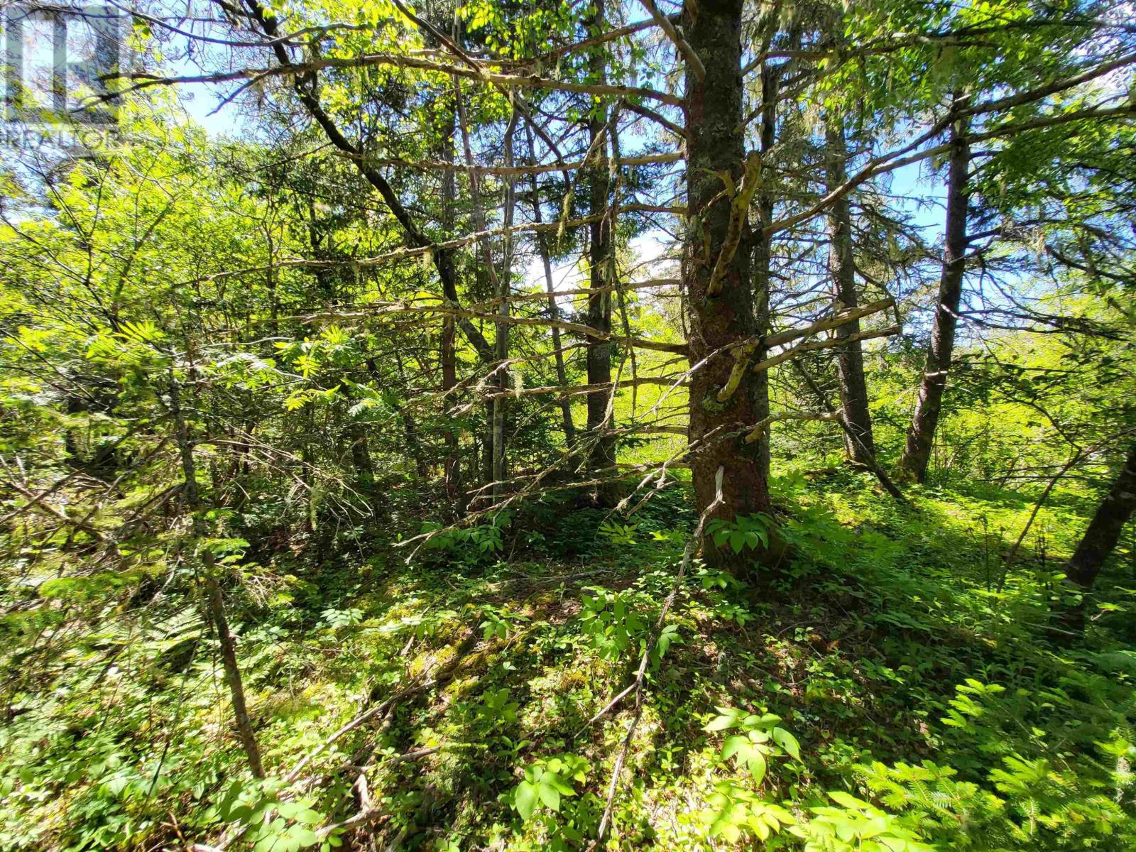 Lot C5 Everetts Way, Hunts Point, Nova Scotia  B0T 1G0 - Photo 14 - 202528234