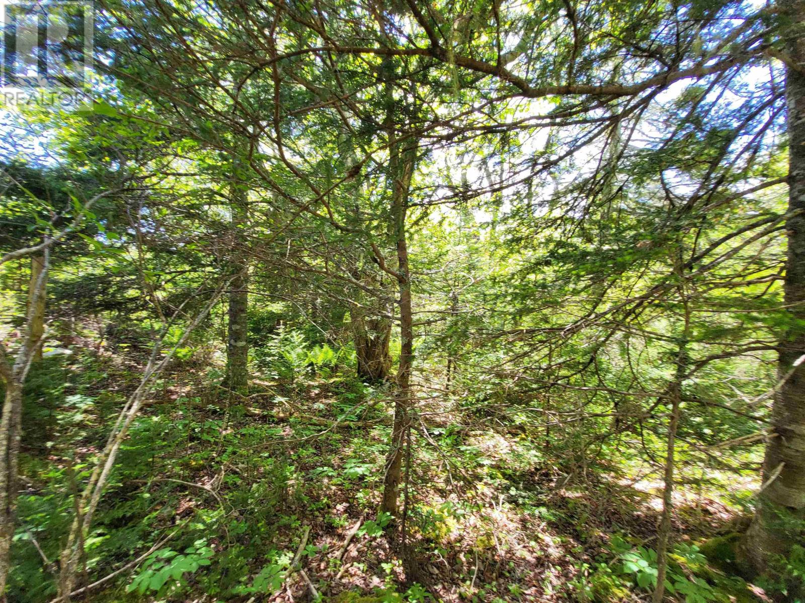 Lot C5 Everetts Way, Hunts Point, Nova Scotia  B0T 1G0 - Photo 17 - 202528234